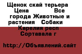 Щенок скай терьера › Цена ­ 20 000 - Все города Животные и растения » Собаки   . Карелия респ.,Сортавала г.